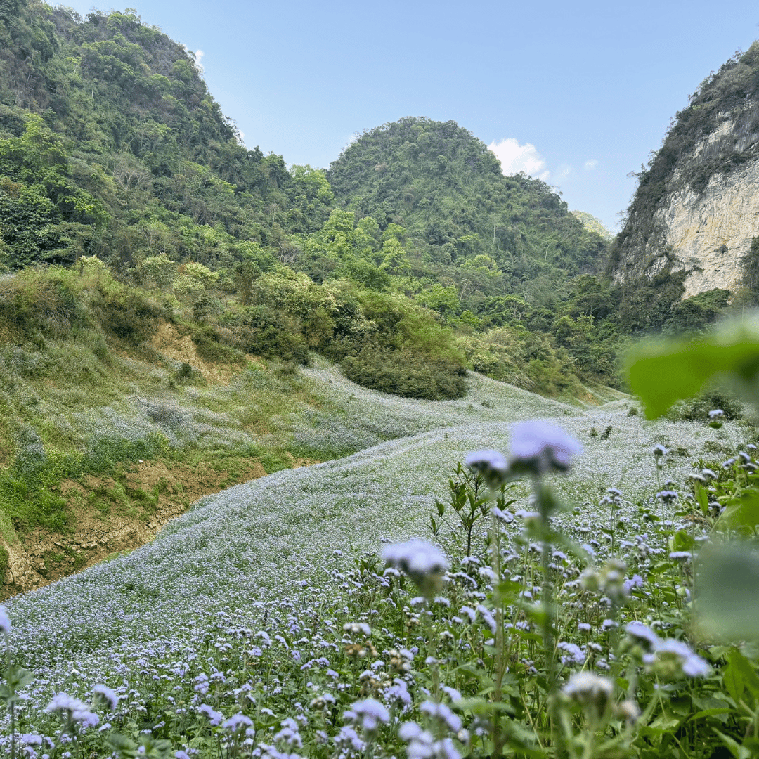 15 Days Fantastic Trekking Experience in Cao Bang